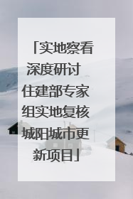 实地察看深度研讨 住建部专家组实地复核城阳城市更新项目