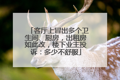 客厅上冒出多个卫生间、厨房，出租房如此改，楼下业主投诉：多少不舒服
