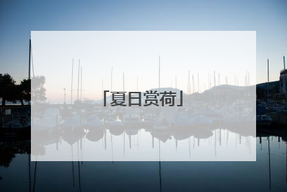 夏日赏荷