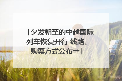 夕发朝至的中越国际列车恢复开行 线路、购票方式公布→