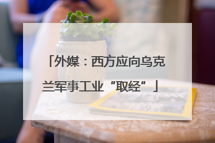 外媒：西方应向乌克兰军事工业“取经”
