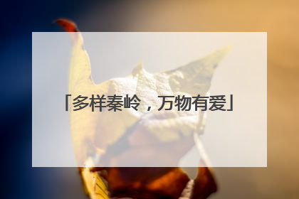 多样秦岭，万物有爱