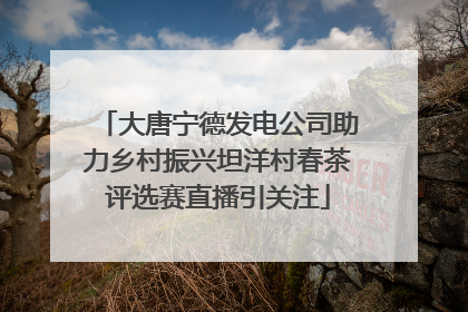 大唐宁德发电公司助力乡村振兴坦洋村春茶评选赛直播引关注