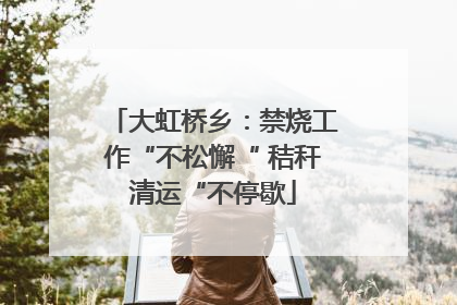 大虹桥乡：禁烧工作“不松懈“ 秸秆清运“不停歇