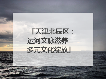 天津北辰区：运河文脉滋养 多元文化绽放