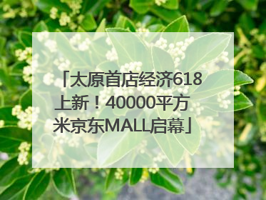 太原首店经济618上新！40000平方米京东MALL启幕