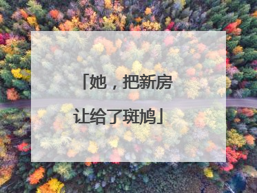 她，把新房让给了斑鸠