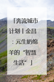 奔流城市计划丨金昌：元生奶绵羊的“智慧生活”