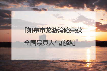 如皋市龙游湾路荣获全国最具人气的路