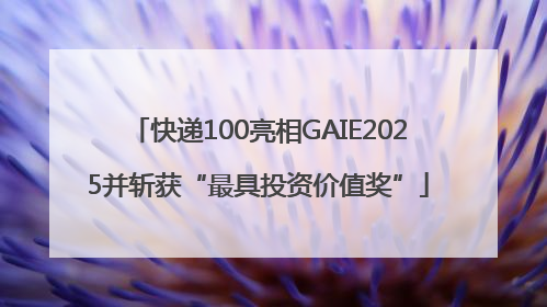 快递100亮相GAIE2025并斩获“最具投资价值奖”