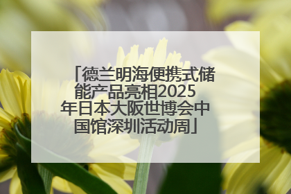 德兰明海便携式储能产品亮相2025年日本大阪世博会中国馆深圳活动周