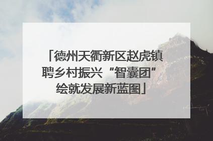 德州天衢新区赵虎镇聘乡村振兴“智囊团” 绘就发展新蓝图
