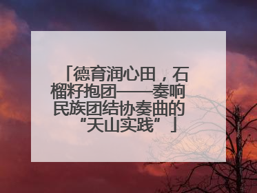 德育润心田，石榴籽抱团——奏响民族团结协奏曲的“天山实践”