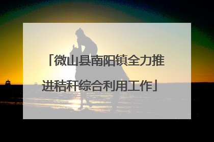 微山县南阳镇全力推进秸秆综合利用工作