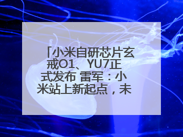小米自研芯片玄戒O1、YU7正式发布 雷军：小米站上新起点，未来五年研发翻倍再投2000亿元