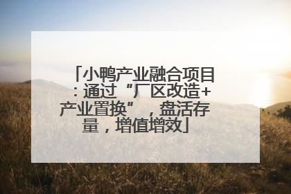 小鸭产业融合项目：通过“厂区改造+产业置换”，盘活存量，增值增效