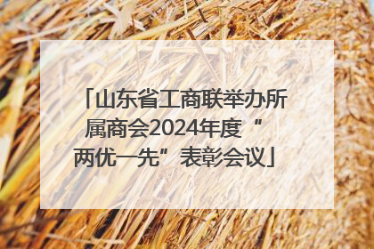 山东省工商联举办所属商会2024年度“两优一先”表彰会议