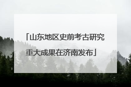 山东地区史前考古研究重大成果在济南发布