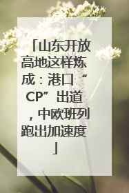 山东开放高地这样炼成：港口“CP”出道，中欧班列跑出加速度
