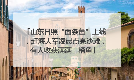 山东日照“面条鱼”上线，赶海大军凌晨点亮沙滩，有人收获满满一桶鱼
