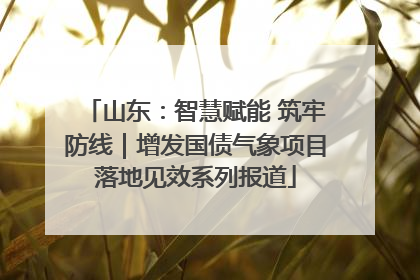 山东：智慧赋能 筑牢防线｜增发国债气象项目落地见效系列报道