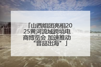 山西组团亮相2025黄河流域跨境电商博览会 加速推动“晋品出海”