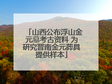 山西公布浮山金元墓考古资料 为研究晋南金元葬具提供样本