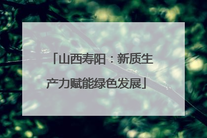 山西寿阳：新质生产力赋能绿色发展