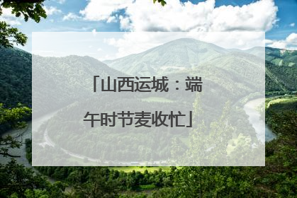 山西运城：端午时节麦收忙
