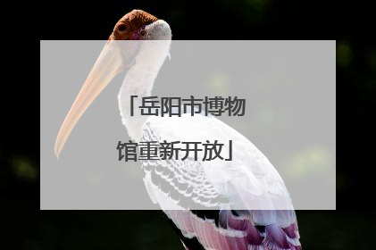 岳阳市博物馆重新开放