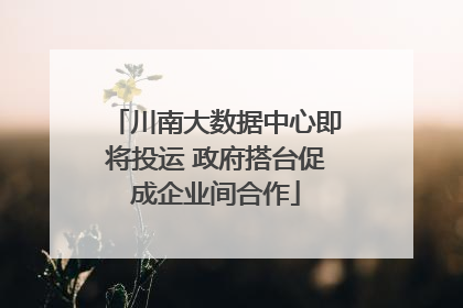 川南大数据中心即将投运 政府搭台促成企业间合作