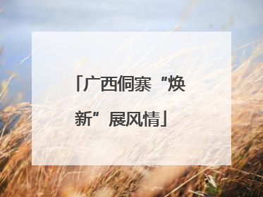 广西侗寨“焕新”展风情