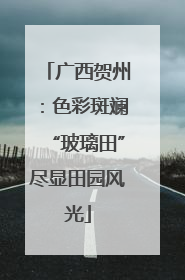 广西贺州：色彩斑斓“玻璃田”尽显田园风光