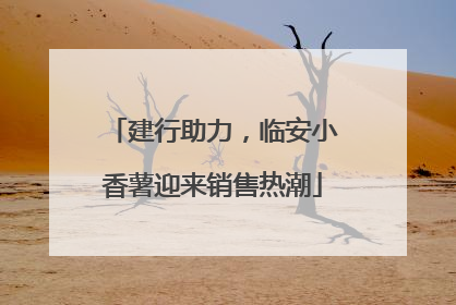 建行助力，临安小香薯迎来销售热潮