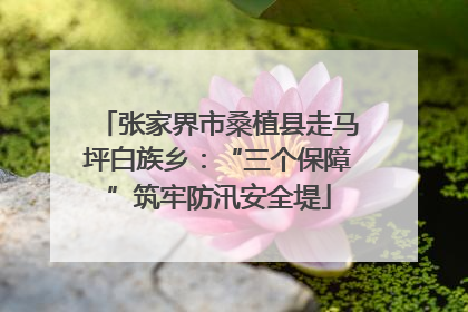 张家界市桑植县走马坪白族乡：“三个保障”筑牢防汛安全堤