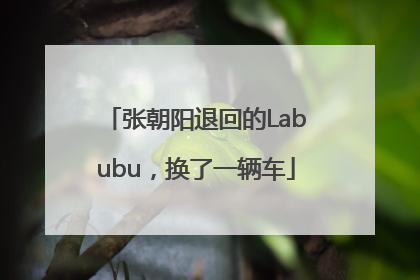 张朝阳退回的Labubu，换了一辆车