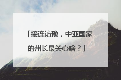 接连访豫，中亚国家的州长最关心啥？
