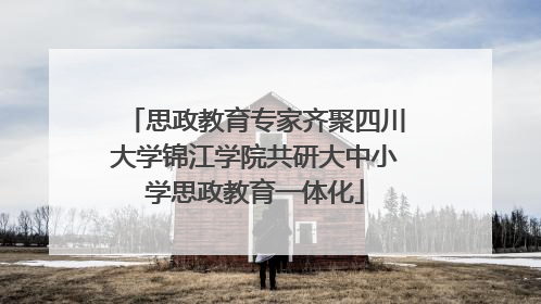 思政教育专家齐聚四川大学锦江学院共研大中小学思政教育一体化