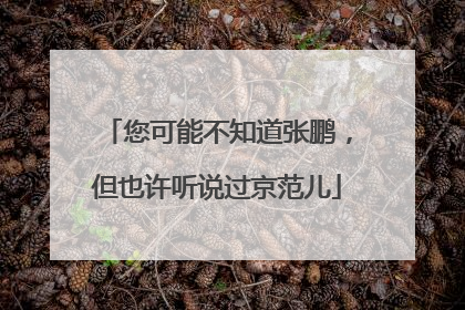 您可能不知道张鹏，但也许听说过京范儿