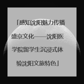 感知沈阳魅力传播盛京文化——沈阳医学院留学生沉浸式体验沈阳文旅特色