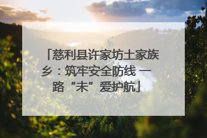 慈利县许家坊土家族乡：筑牢安全防线 一路“未”爱护航