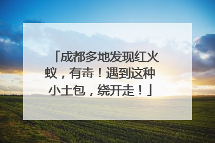 成都多地发现红火蚁，有毒！遇到这种小土包，绕开走！