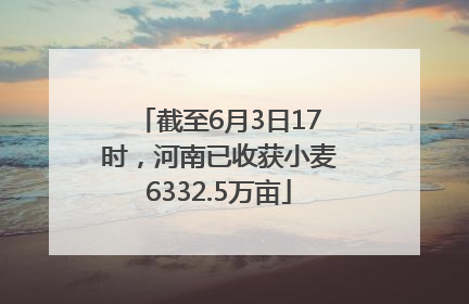 截至6月3日17时，河南已收获小麦6332.5万亩