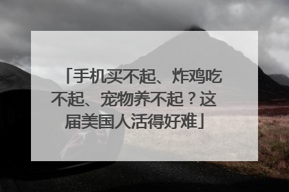 手机买不起、炸鸡吃不起、宠物养不起？这届美国人活得好难
