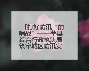打好防汛“前哨战”——莘县综合行政执法局筑牢城区防汛安全防线