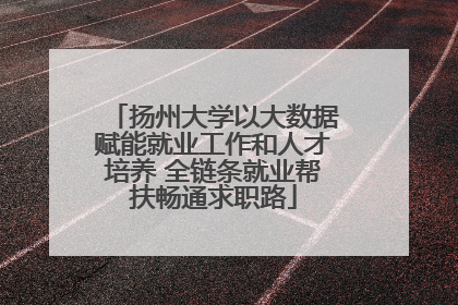 扬州大学以大数据赋能就业工作和人才培养 全链条就业帮扶畅通求职路