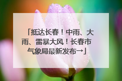 抵达长春！中雨、大雨、雷暴大风！长春市气象局最新发布→