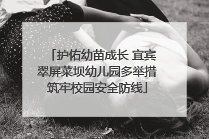 护佑幼苗成长 宜宾翠屏菜坝幼儿园多举措筑牢校园安全防线