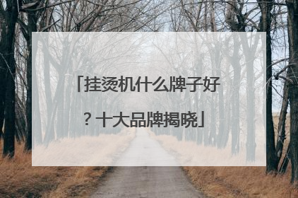 挂烫机什么牌子好？十大品牌揭晓