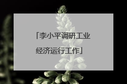 李小平调研工业经济运行工作